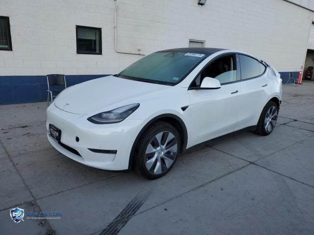 2021 TESLA MODEL Y – Lot 87286175 auction photo