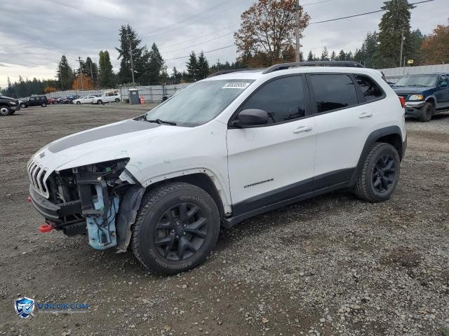 2017 JEEP CHEROKEE TRAILHAWK – Lot 90830955 auction photo