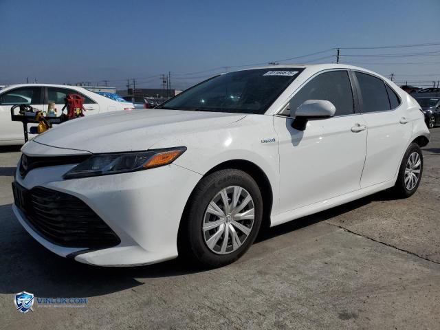 2020 TOYOTA CAMRY LE – Lot 91164675 auction photo