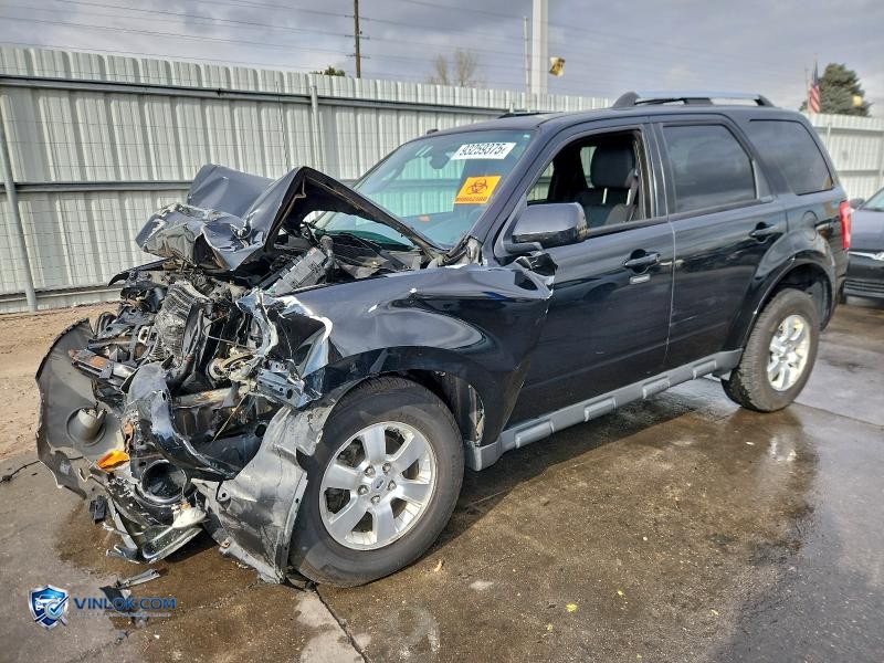 2010 FORD ESCAPE LIMITED – Lot 93259375 auction photo