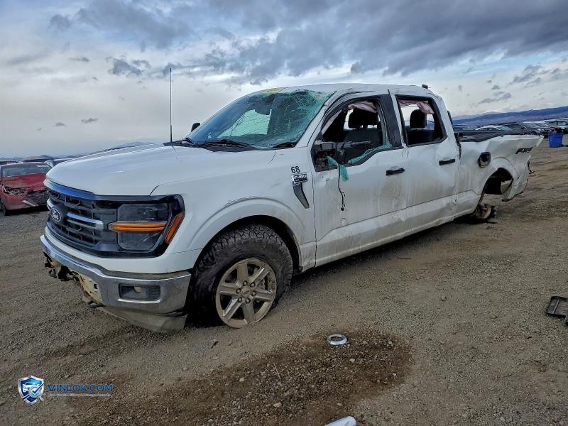 2024 FORD F150 XLT – Lot 95900545 auction photo