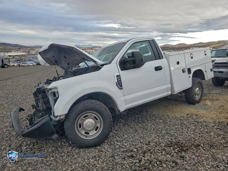 2022 FORD F250 SD 2WD V8 FFV REG CAB 6.2L XL UTILI – Lot 96223455 auction photo