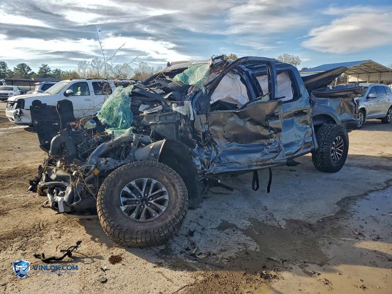 2019 FORD F150 RAPTOR – Lot 96699605 auction photo