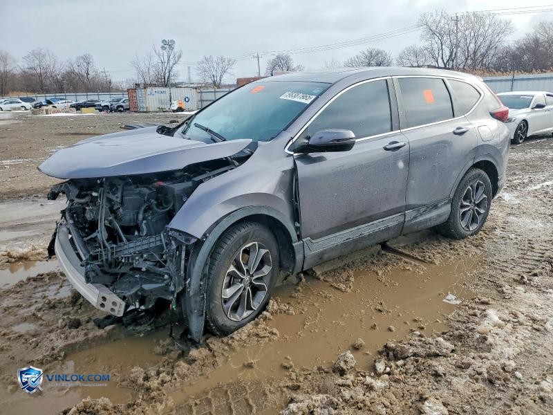 2021 HONDA CR-V EX – Lot 98387965 auction photo