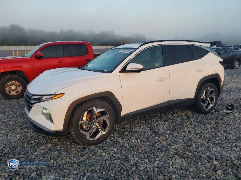 2024 HYUNDAI TUCSON SEL – Lot 98494105 auction photo