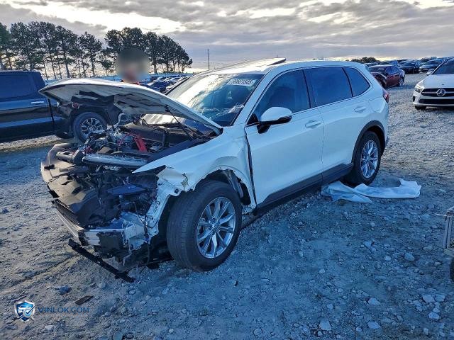 2025 HONDA CR-V EX – Lot 98601545 auction photo