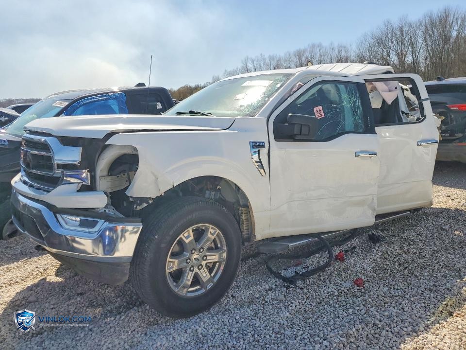 2023 FORD F150 SUPERCREW – Lot 99214145 auction photo