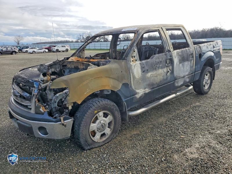 2013 FORD F150 – Lot 99736235 auction photo