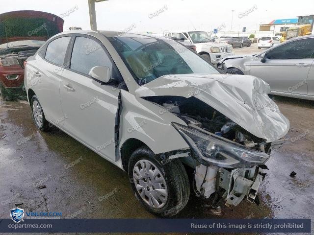 2024 CHAN ALSVIN – Lot 41675856 auction photo