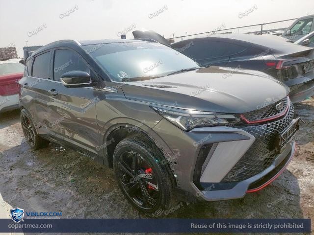 2025 GEEL COOLRAY – Lot 41849726 auction photo