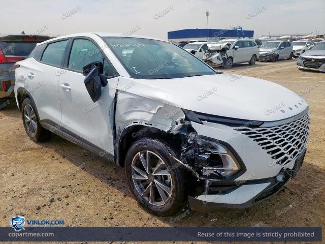 2026 OMDA C5 – Lot 42025656 auction photo