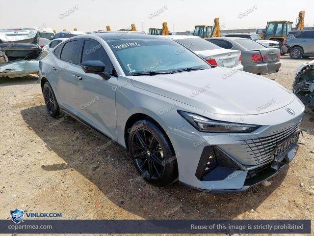 2024 CHAN UNI-V – Lot 46071156 auction photo