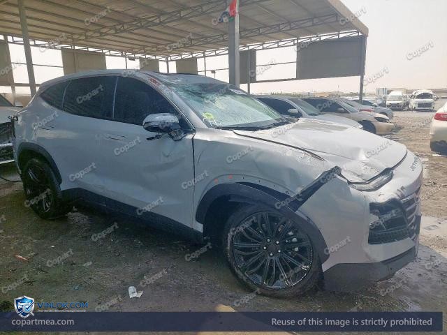 2024 JETO DASHING – Lot 46246726 auction photo