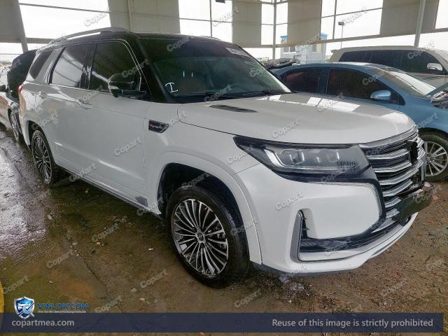 2022 CHAN CS95 – Lot 46413706 auction photo