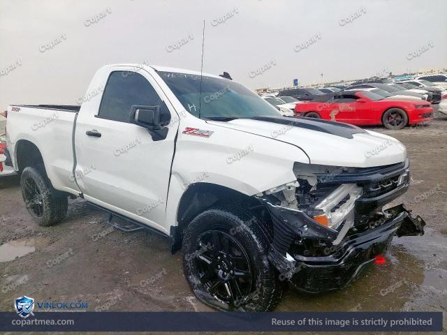2023 CHEVROLET SILVARADO – Lot 46593256 auction photo