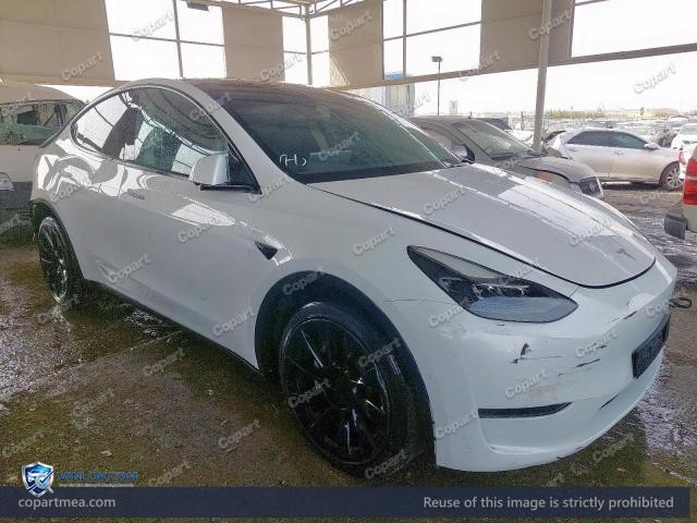 2022 TESLA MODEL Y – Lot 46594056 auction photo