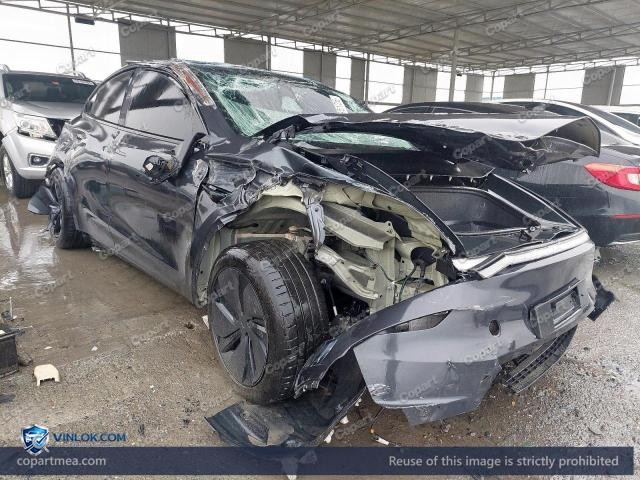 2025 TESLA MODEL Y – Lot 46595126 auction photo