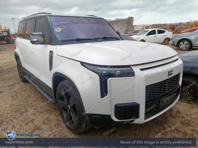 2025 ROX 01 – Lot 46595696 auction photo