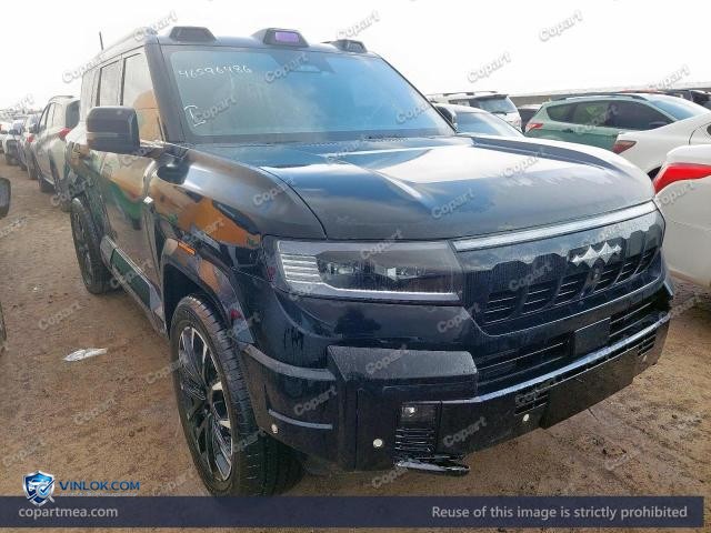 2025 BYD LEOPARD – Lot 46596486 auction photo