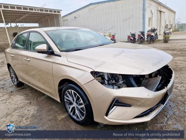 2025 GEEL EMGRAND – Lot 46598996 auction photo