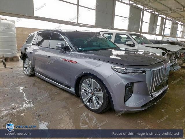 2023 HNGQ EHS9 – Lot 46772286 auction photo