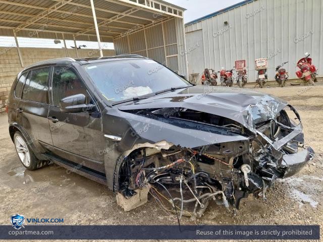 2013 BMW X5 – Lot 46797716 auction photo