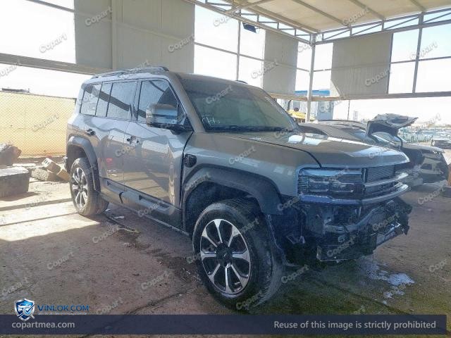 2025 BYD LEOPARD – Lot 46963336 auction photo