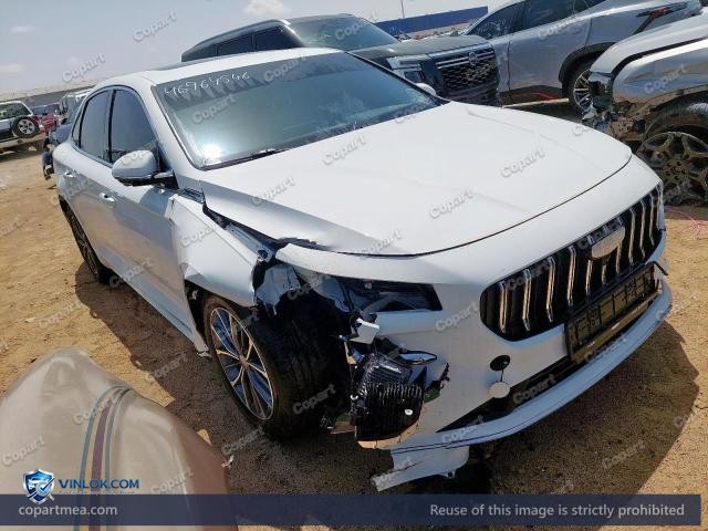 2026 GEEL PREFACE – Lot 46964546 auction photo