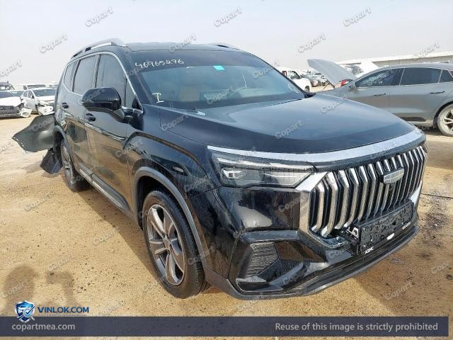 2026 GEEA OKAVNGO – Lot 46965276 auction photo