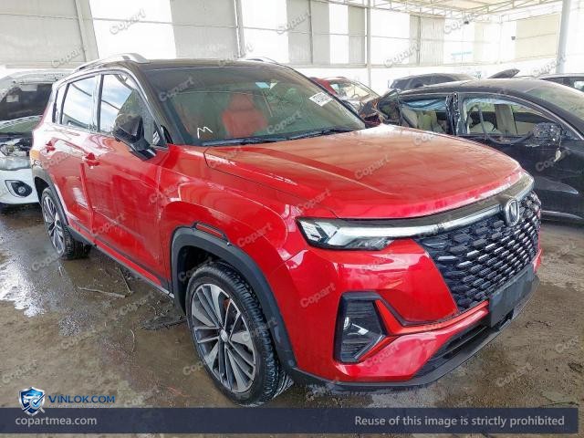 2025 CHAN CS35 – Lot 47340056 auction photo