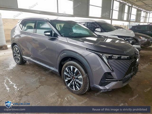 2024 GAC EMKOO – Lot 47692016 auction photo