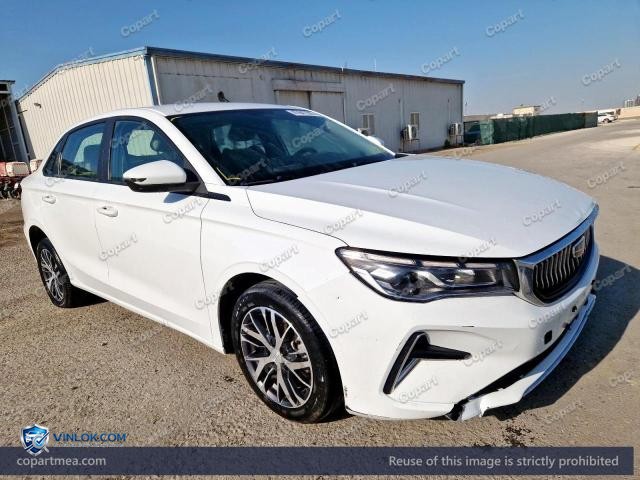 2025 GEEA EMGRAND – Lot 47847386 auction photo