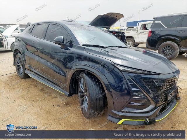 2024 CHAN UNI-T – Lot 48179076 auction photo