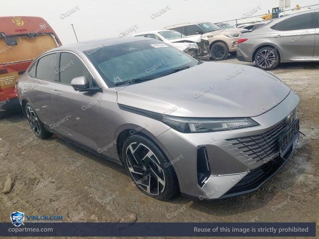 2025 CHAN EADO PLUS – Lot 48225246 auction photo