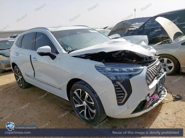 2024 HAVA JOLION – Lot 48227946 auction photo