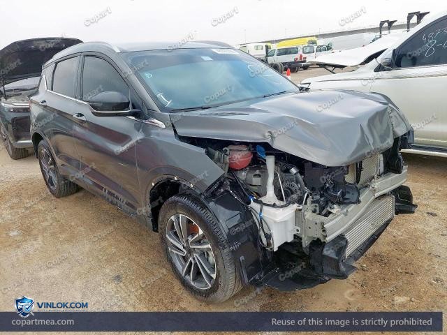 2025 GEELY COOLRAY – Lot 48365166 auction photo