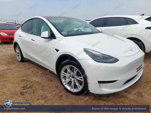 2023 TESLA MODEL Y – Lot 48371776 auction photo