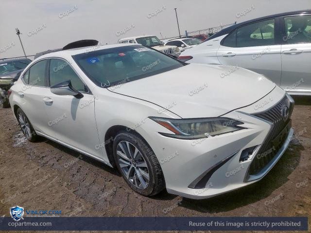2019 LEXUS ES 300H – Lot 48551356 auction photo