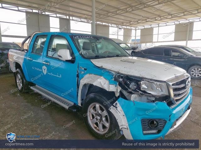 2020 GREAT WALL WINGLE – Lot 48556606 auction photo