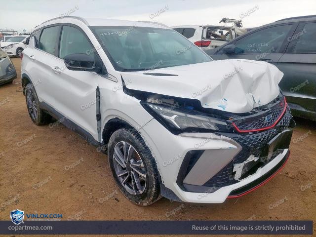 2025 GEEL COOLRAY – Lot 48723456 auction photo