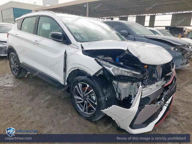 2025 GEEL COOLRAY – Lot 48723716 auction photo