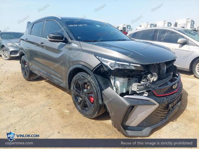 2025 GEEL COOLRAY – Lot 48724006 auction photo
