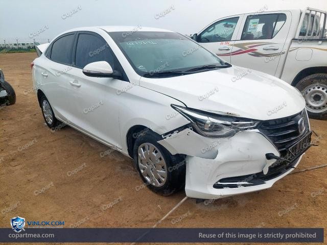 2024 CHAN ALSVIN – Lot 48733196 auction photo
