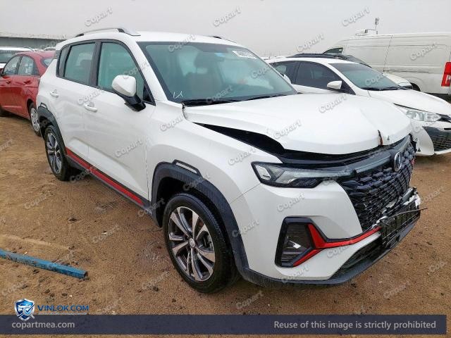 2024 CHAN CS35 PLUS – Lot 48887516 auction photo