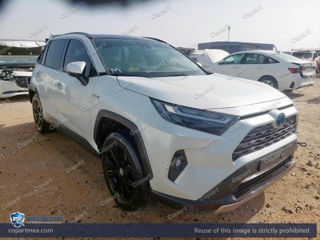 2024 TOYOTA RAV – Lot 48887626 auction photo