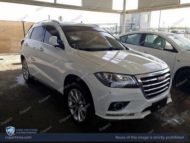 2018 HAVA H2 – Lot 49188716 auction photo