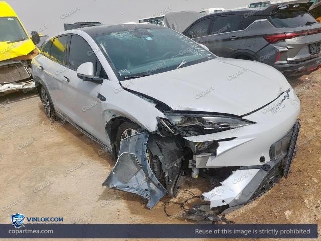 2025 BYD SEA LION – Lot 49189316 auction photo