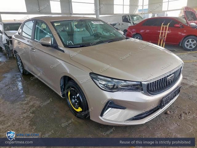 2025 GEEA EMGRAND – Lot 49189366 auction photo