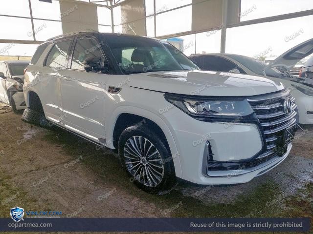 2023 CHAN CS95 – Lot 49190276 auction photo