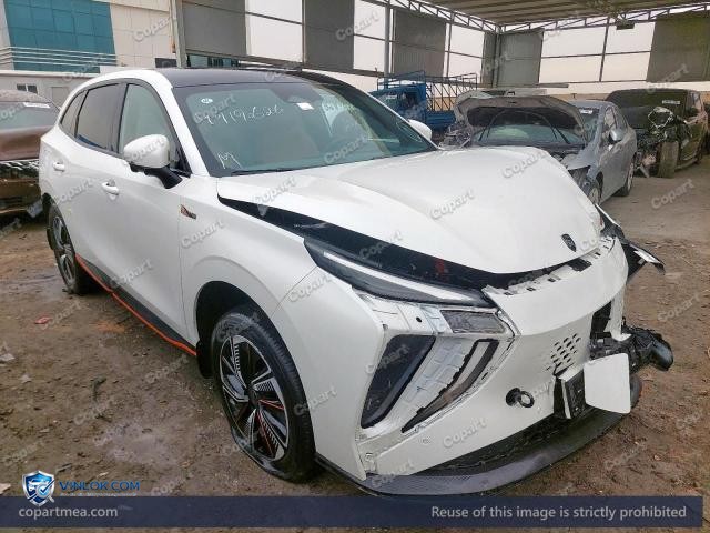 2024 DONG FORTHING – Lot 49190626 auction photo